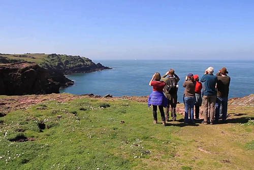 Group of birdwatchers looking out to sea