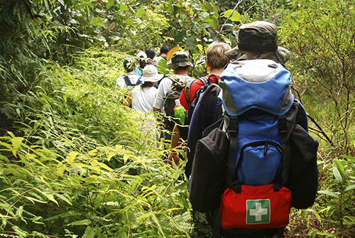 Jungle Trekking