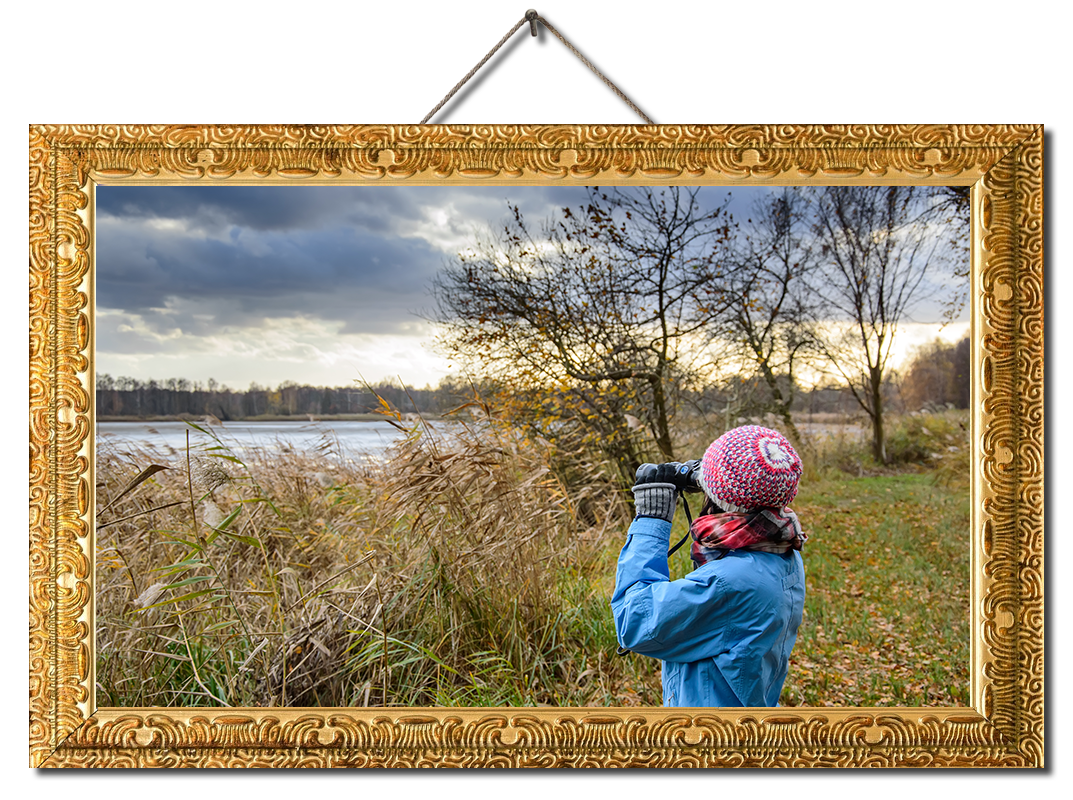 Lady with binoculars bird watching by a lake. Birdwatching Ireland