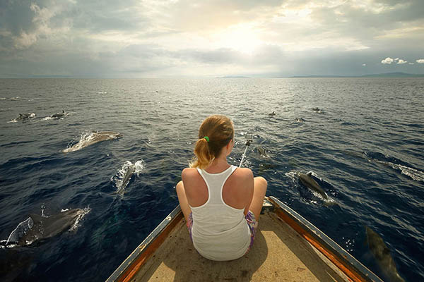 Watching dolphins from a boat in North Sulawesi, Indonesia