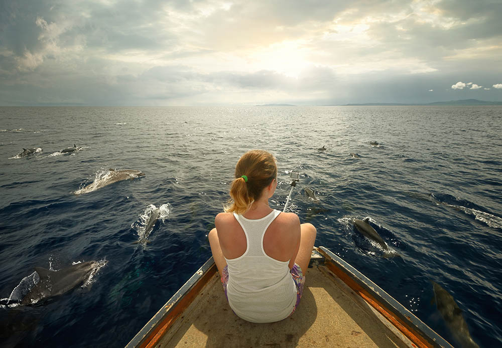 Watching dolphins from a boat in North Sulawesi, Indonesia