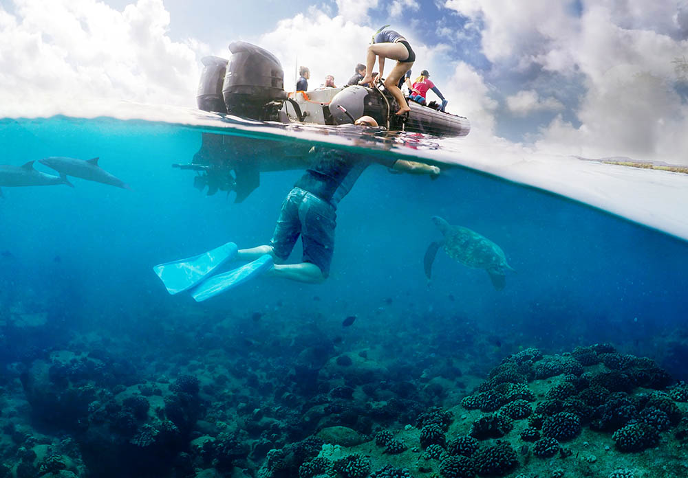 Snorkeling off of a boat with a split perspective of above the water and below it