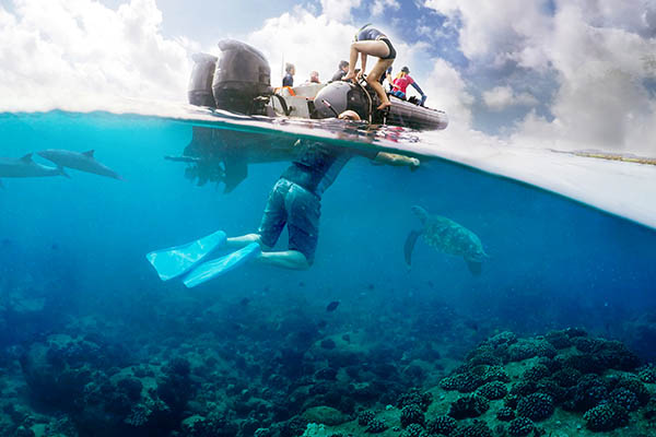 Snorkeling off of a boat with a split perspective of above the water and below it