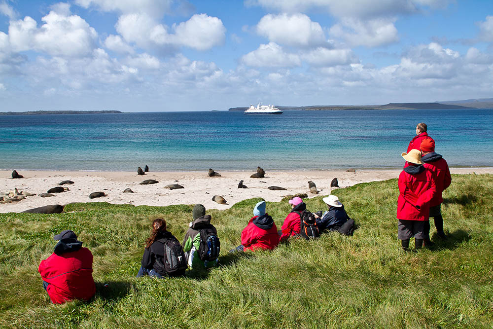 Walkers resting and watching seals with a ship in the distance in Enderby Island, Sub-antarctic Islands. New Zealand Wildlife