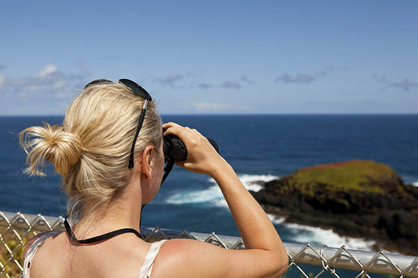 Young woman whale watching off the South African Coast