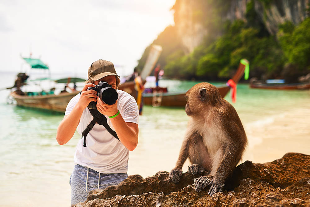 Tourist taking a photograph of a monkey on Monkey Beach, Phi Phi Islands, Thailand