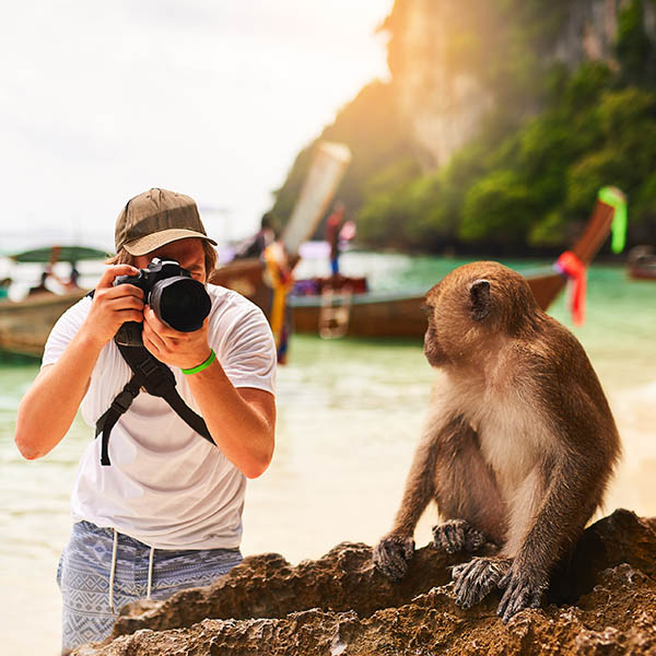 Tourist taking a photograph of a monkey on Monkey Beach, Phi Phi Islands, Thailand