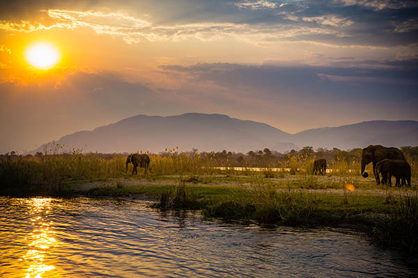 Walking safari in Luangwa National Park, Zambia