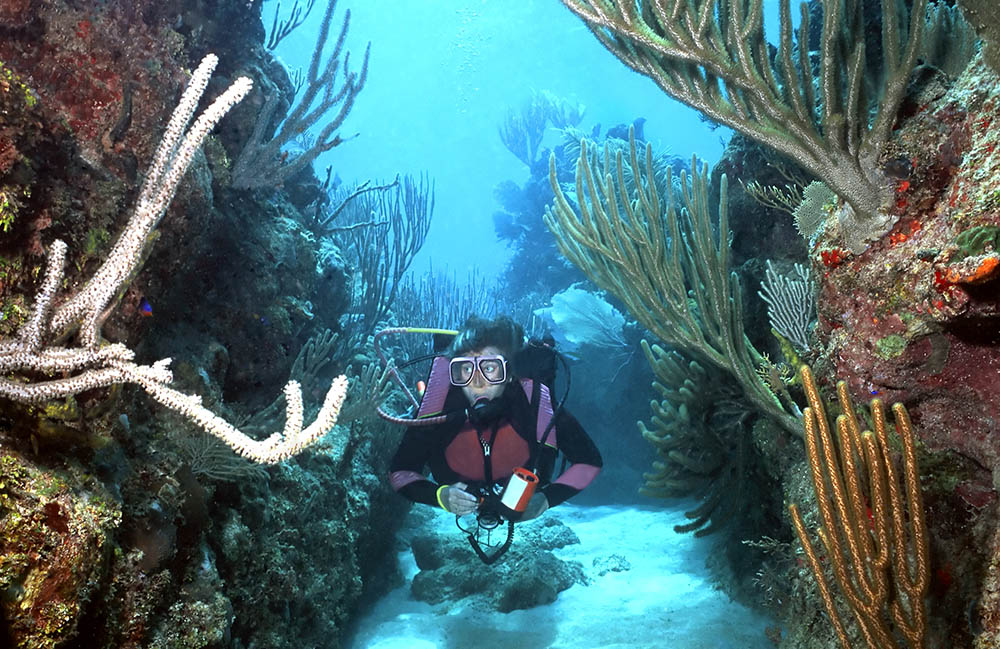 Scuba diving in Roatan, Honduras