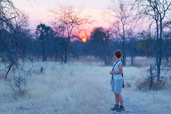 Tourist walking in the bush and Acacia grove at sunset