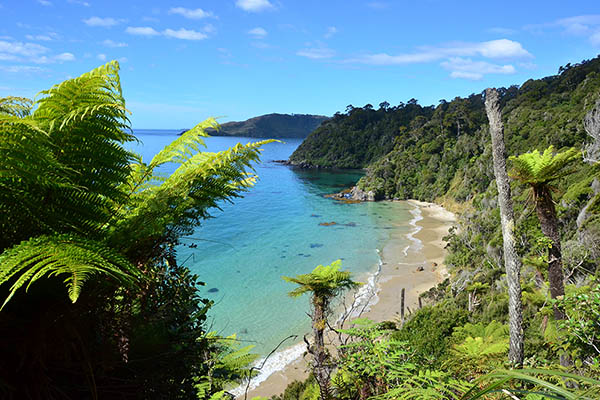 Hiking Stewart Island, New Zealand