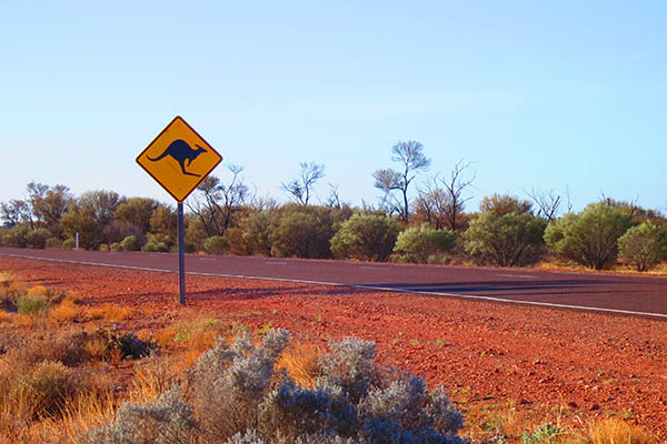 Outback australian famous iconic kangaroo motorway road sign taken in the desert on the stuart highway in South Australia, SA