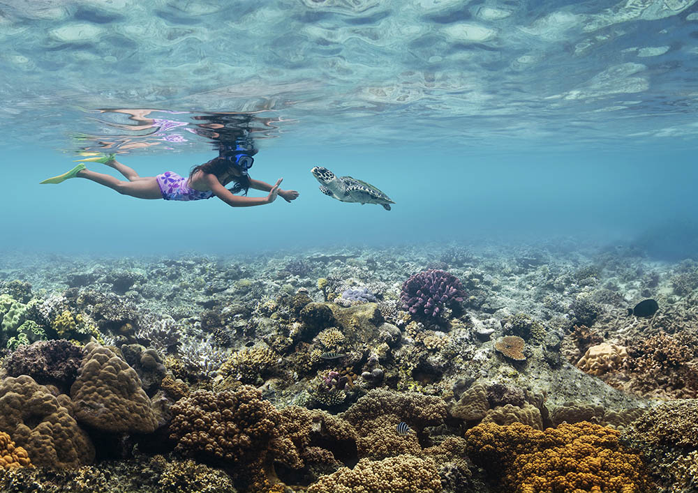 Girl snorkelling and waving at turtle in coral reef.