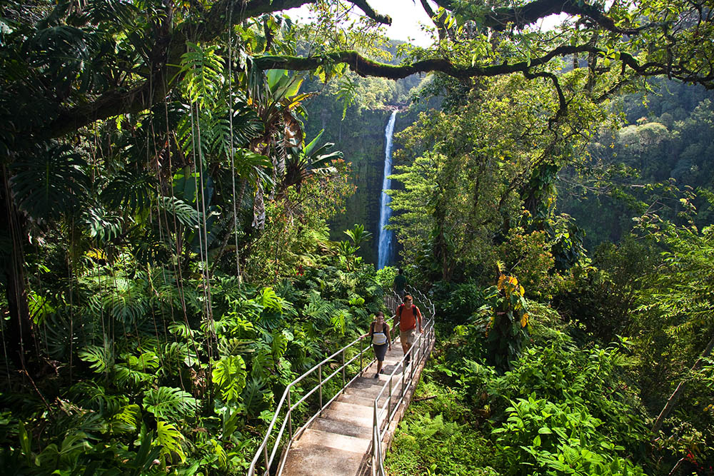 Walking from Akaka Falls on Hawaii Island