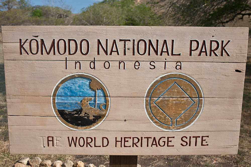 Komodo National Park on Komodo Island, famous for its giant, carnivorous monitor lizards, Komodo dragons