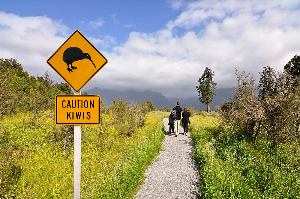 Kiwi sign on a walking trail in New Zealand