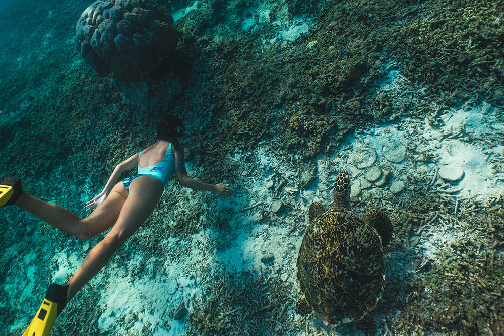 Woman snorkelling with a sea turtle