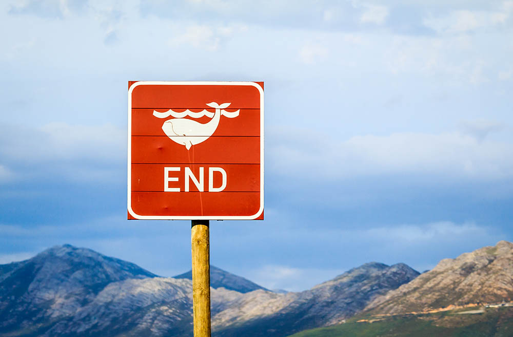 End of Whales sign in South Africa