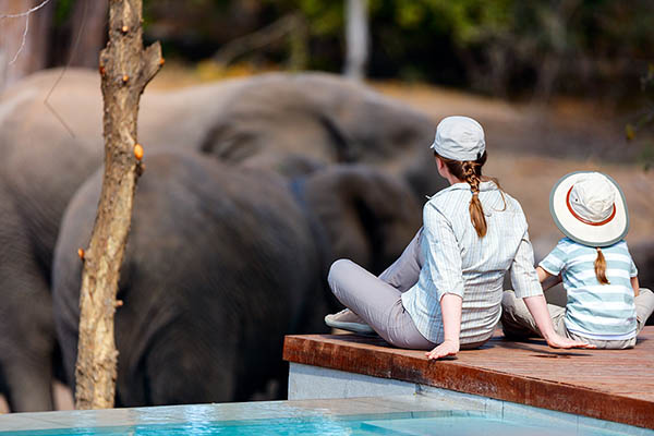 Family of mother and child on African safari vacation enjoying wildlife viewing sitting near swimming pool