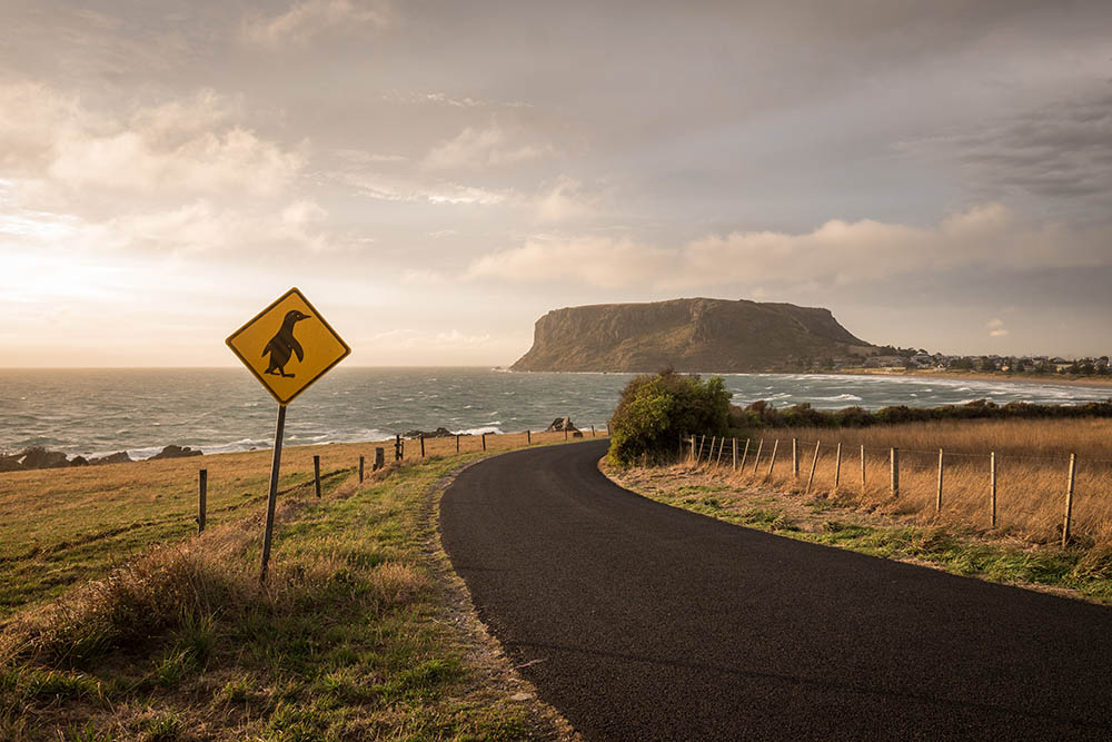 Penguin crossing sign, The Nut, Tasmania