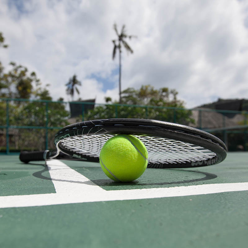 Tennis Ball with Racket in a tropical setting