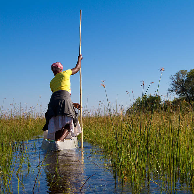 Mokoro trip through the Okavango Delta, Botswana