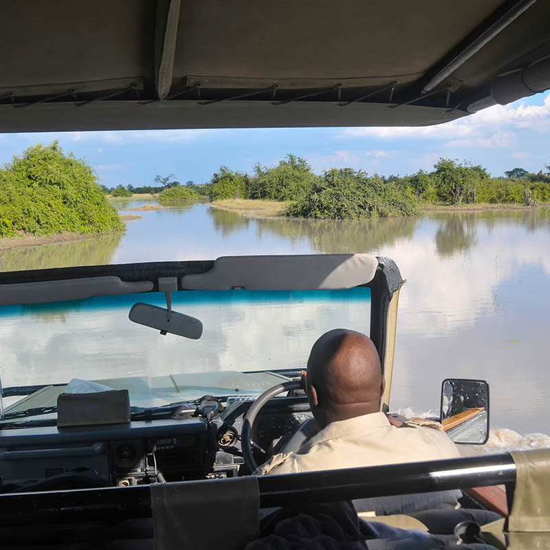 Elephants and tourists on the banks of Chobe river