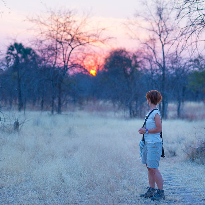 Tourist walking in the bush and Acacia grove at sunset