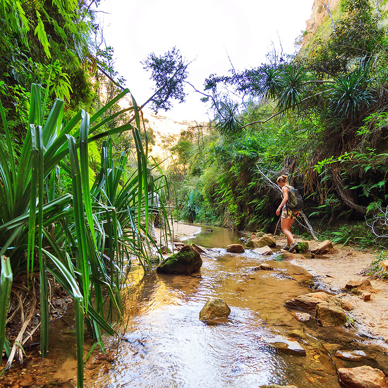 Hiking in the canyons of Isalo National Park, Madagascar