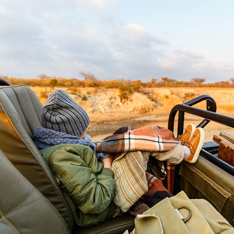 Early morning safari game drive in open vehicle