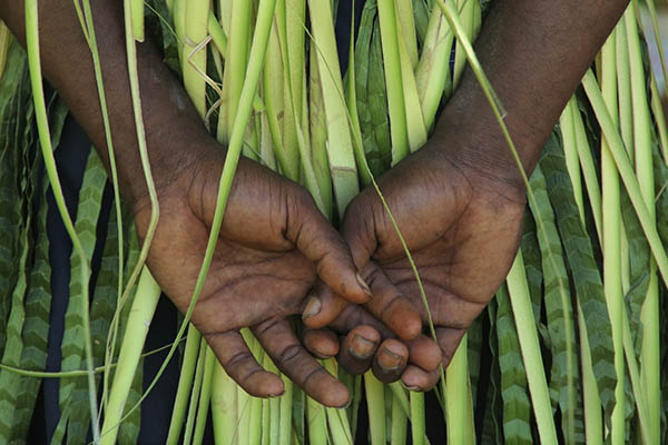 Close-up of a boy's hands wearing traditional dress in Vanuatu