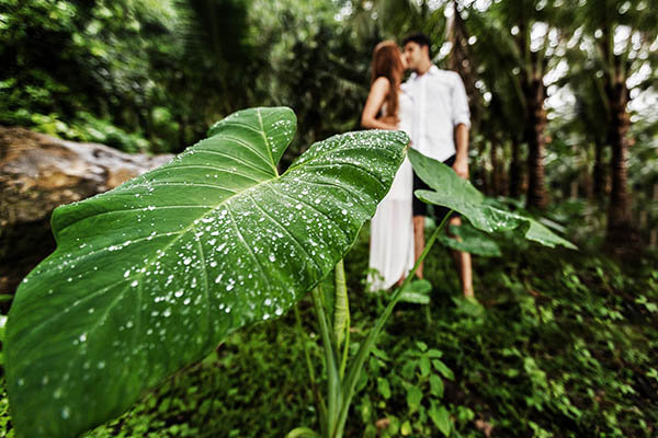 young couple in tropical forest