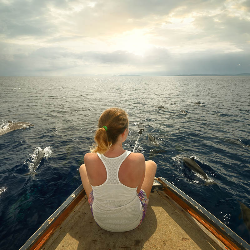 Young woman sit on boat looking to a flock dolphins swimming in near of the boat. North Sulawesi Indonesia.