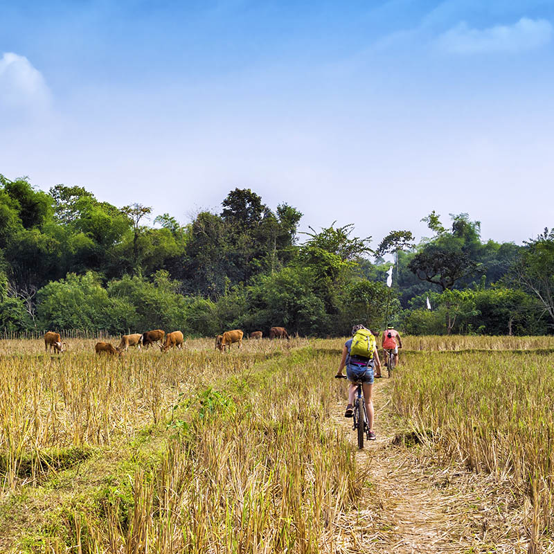 Cycling in the countryside at Vang Vieng, Vientiane Province