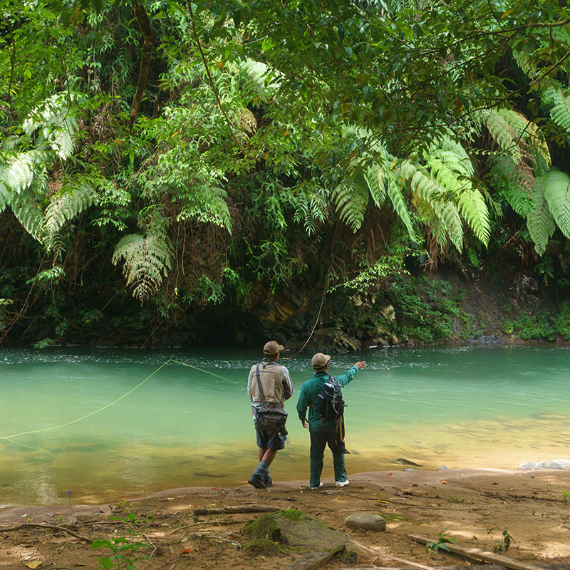 Two men standing at riverbank for fishing at tropical river in Sabah Malaysia Borneo using fly fishing rod