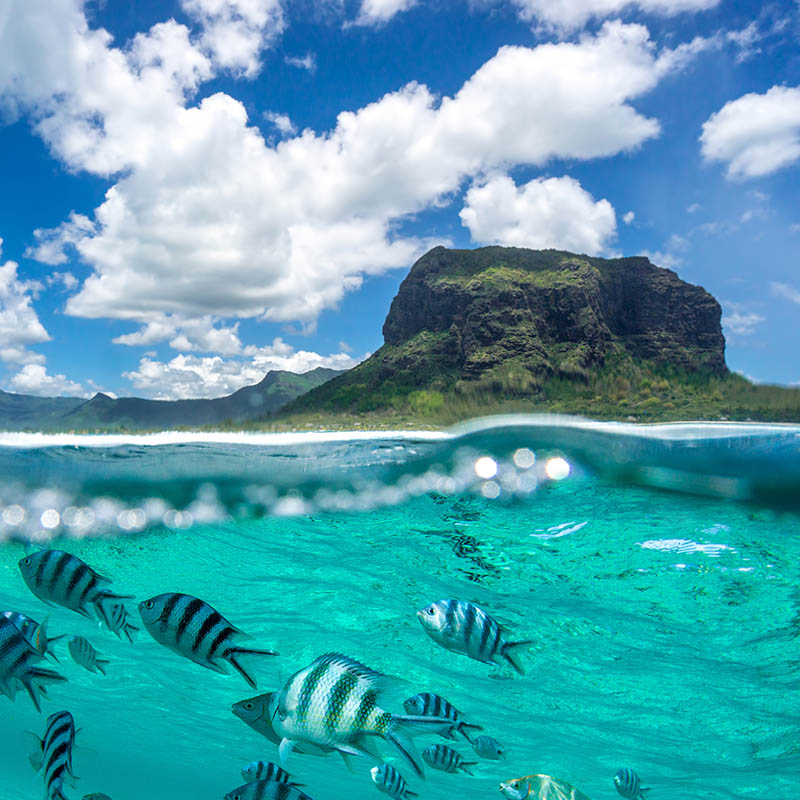 Split view of Le Morne mountain and underwater