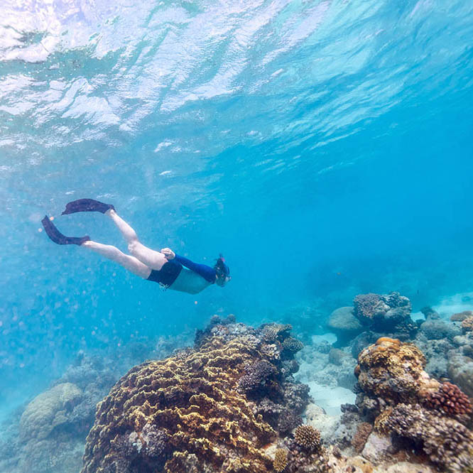 snorkelling in Mozambique