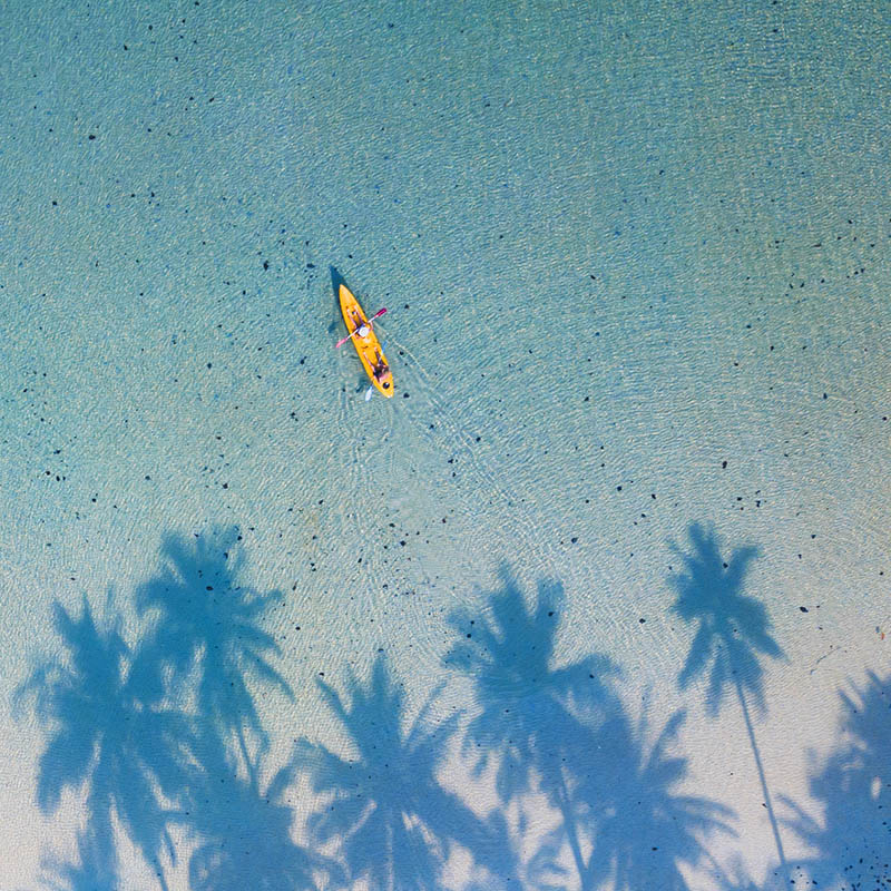 aerial view of tropical beach with palm trees & a kayak