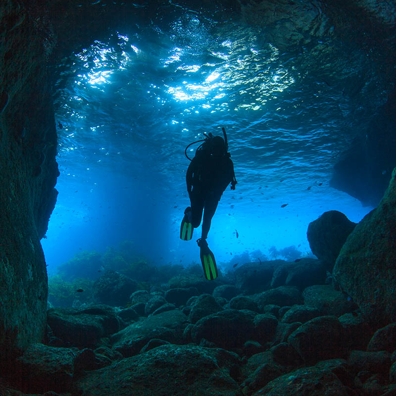 Diver swimming through a sea cave near Poor Knights Islands, North Island, New Zealand