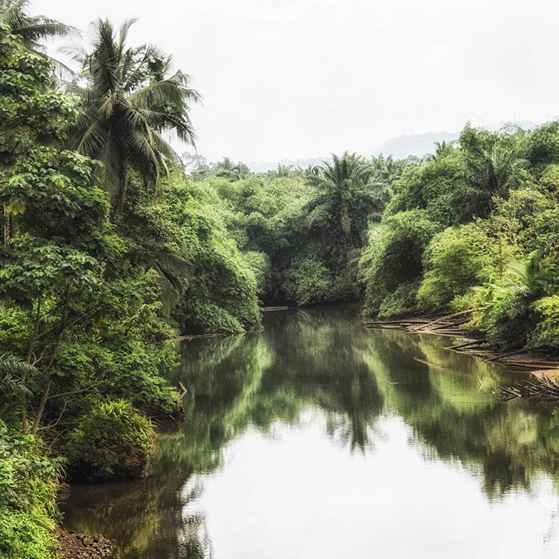 UNESCO Biosphere Reserve, Principe, Sao Tome and Principe, Atlan