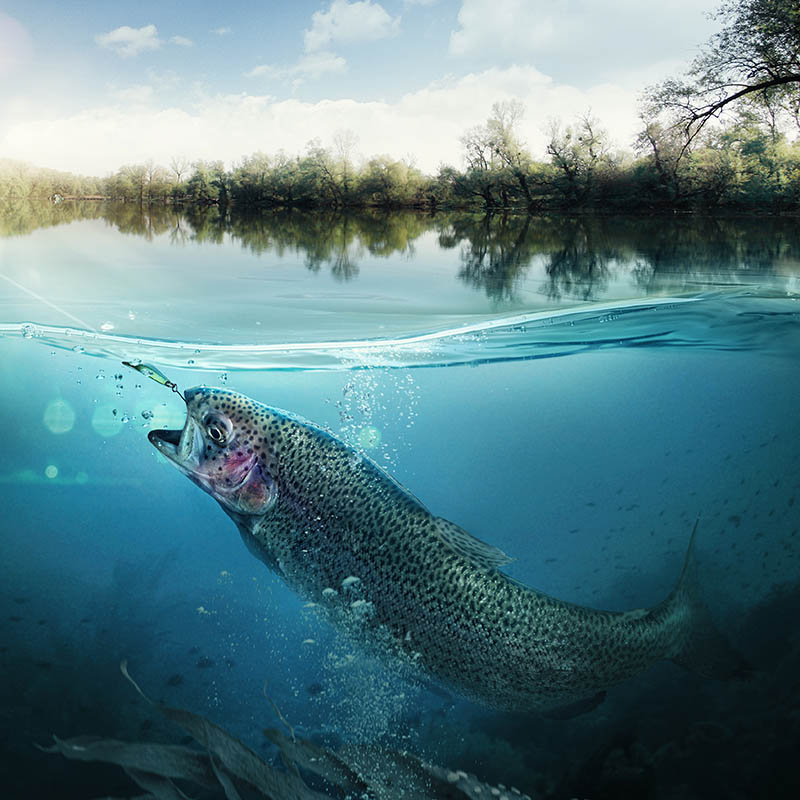 Close-up shot of a fish hook under water