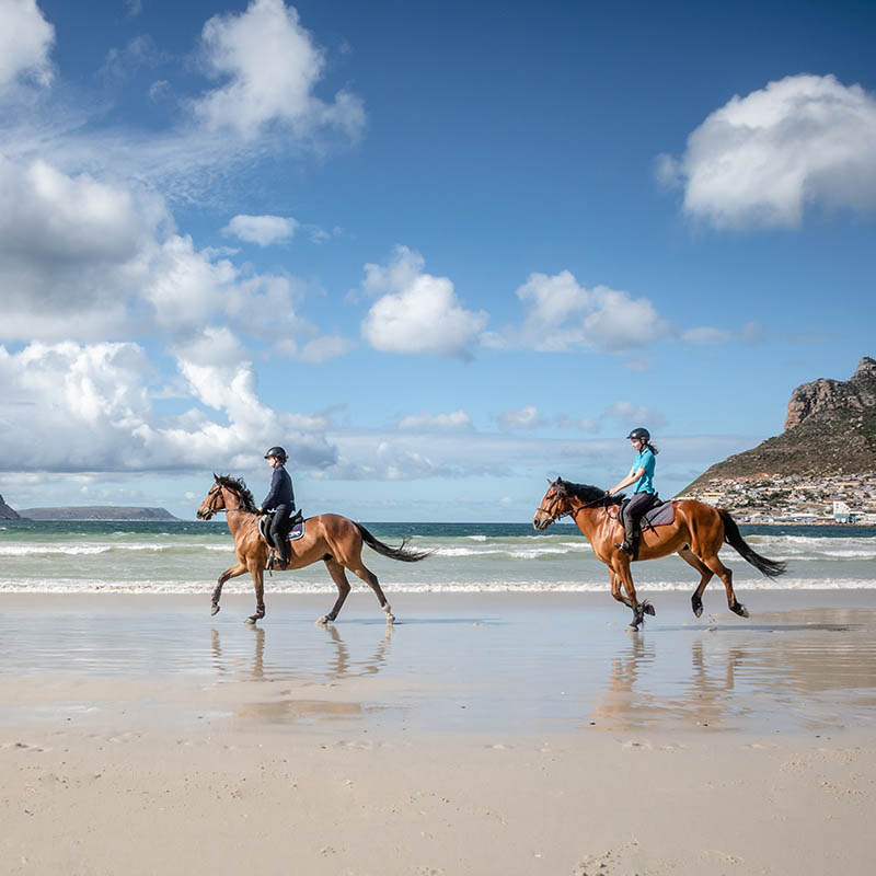 Horse riding on a beach in South Africa