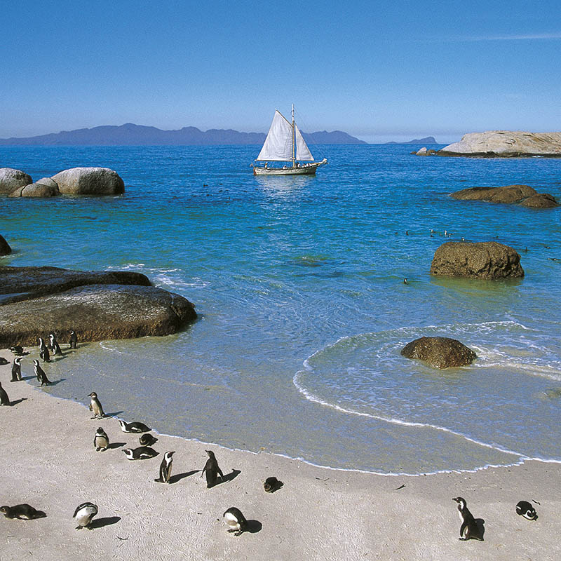 Sailing off Boulders Beach, South Africa