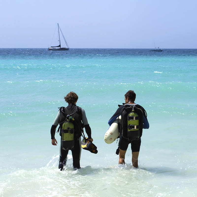 Diving in Zanzibar