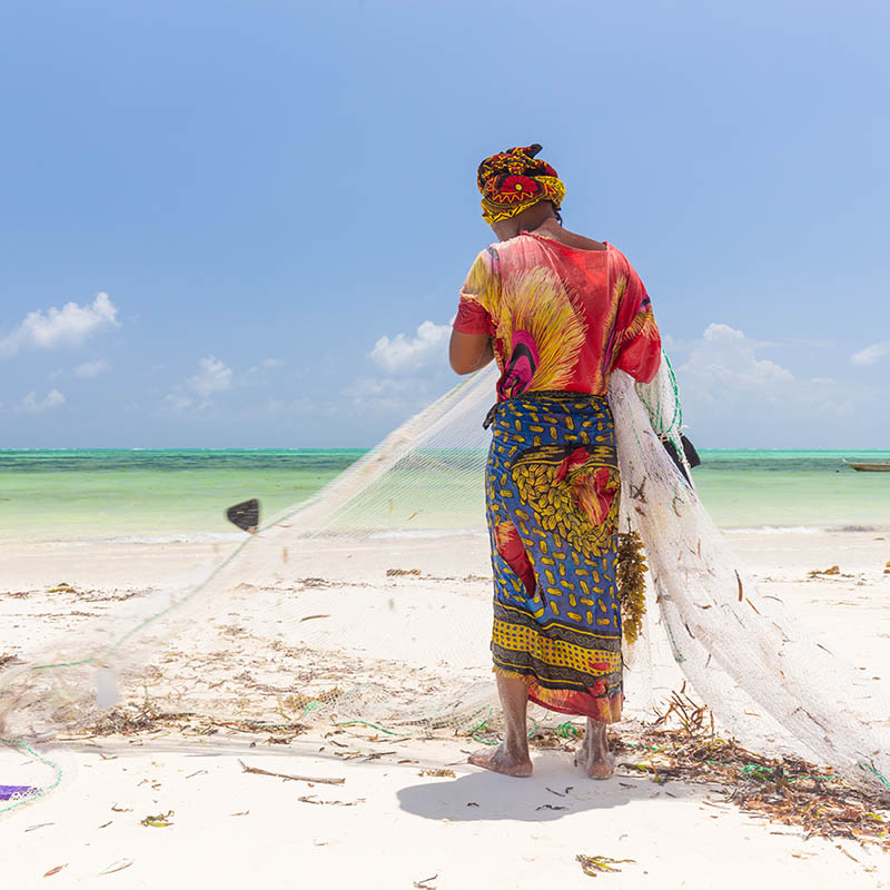 Traditional African local rural fishing on Paje beach, Zanzibar