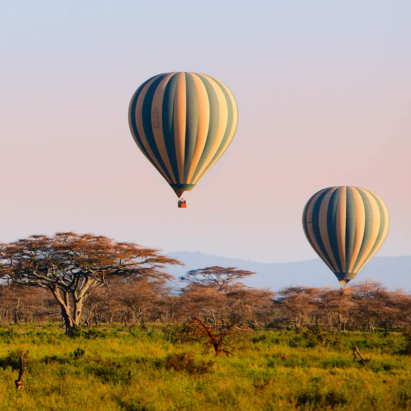 Hot air balloon safari across the Serengeti, Tanzania