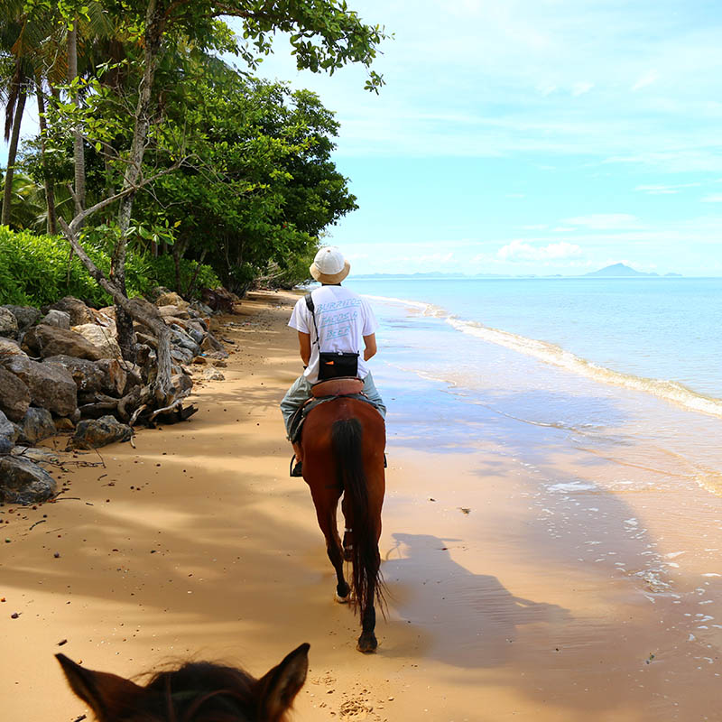 horse riding, Krabi thailand