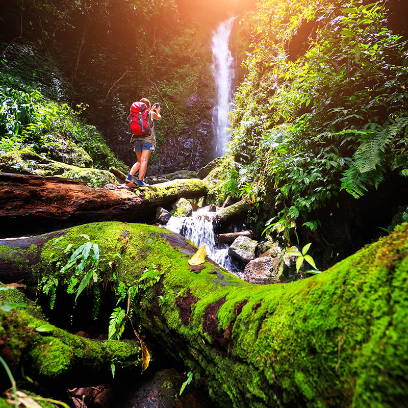 hiking to waterfall in tropical rain forest at Nakhon Nayok, Thailand