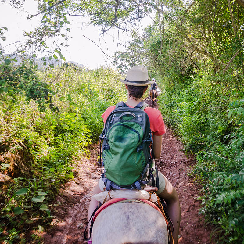 Horse riding in the countryside 