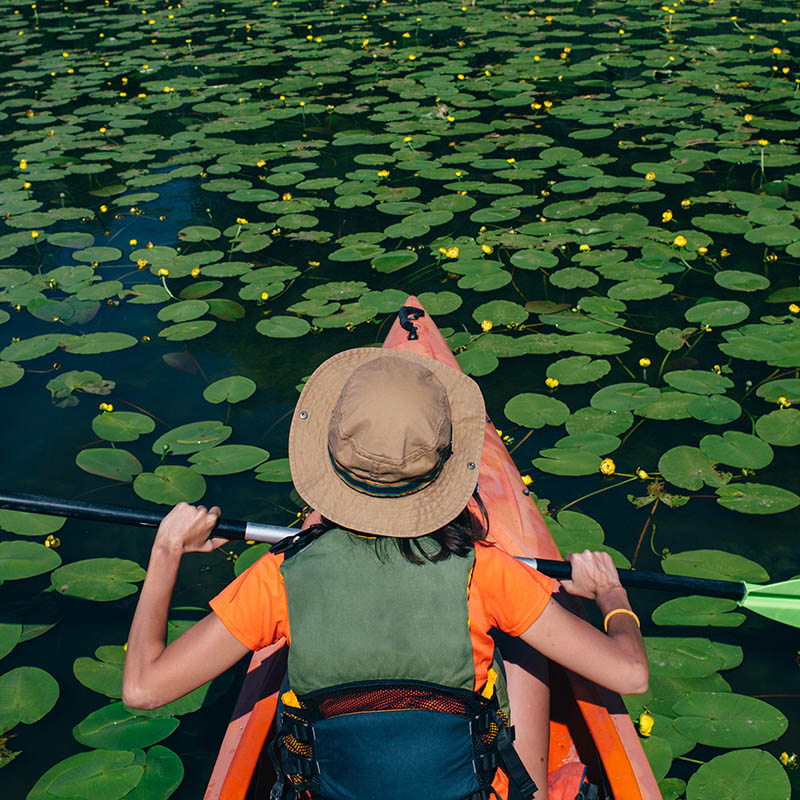 Woman Kayaking on a pristine lake with water lillies